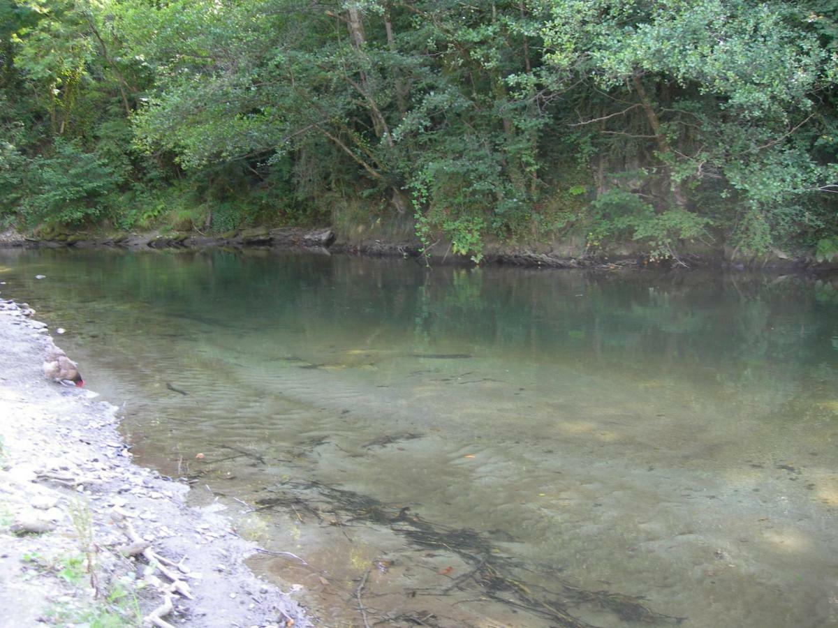 Appartement Les Rives De L'Ariege Luzenac Dış mekan fotoğraf