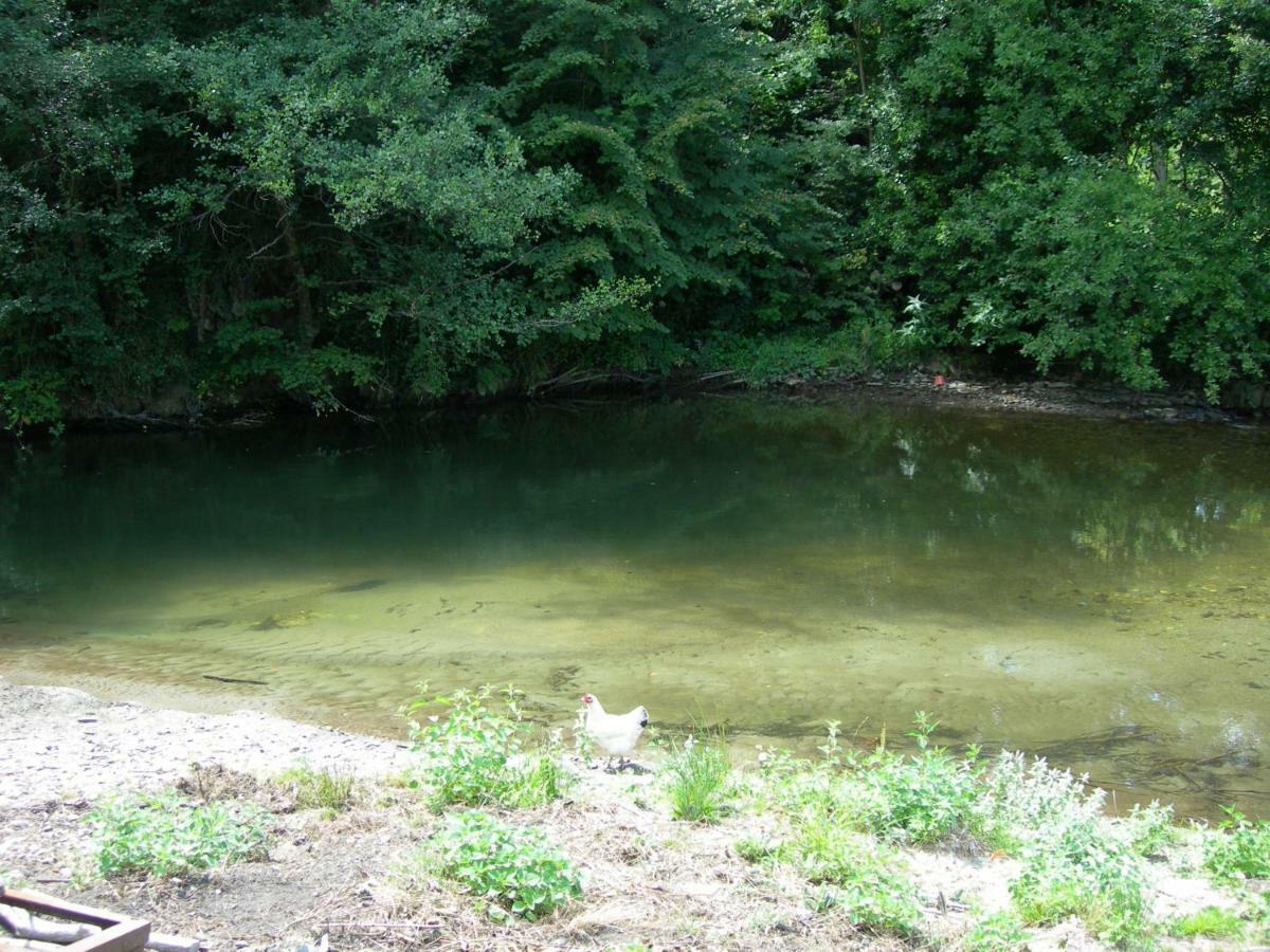 Appartement Les Rives De L'Ariege Luzenac Dış mekan fotoğraf